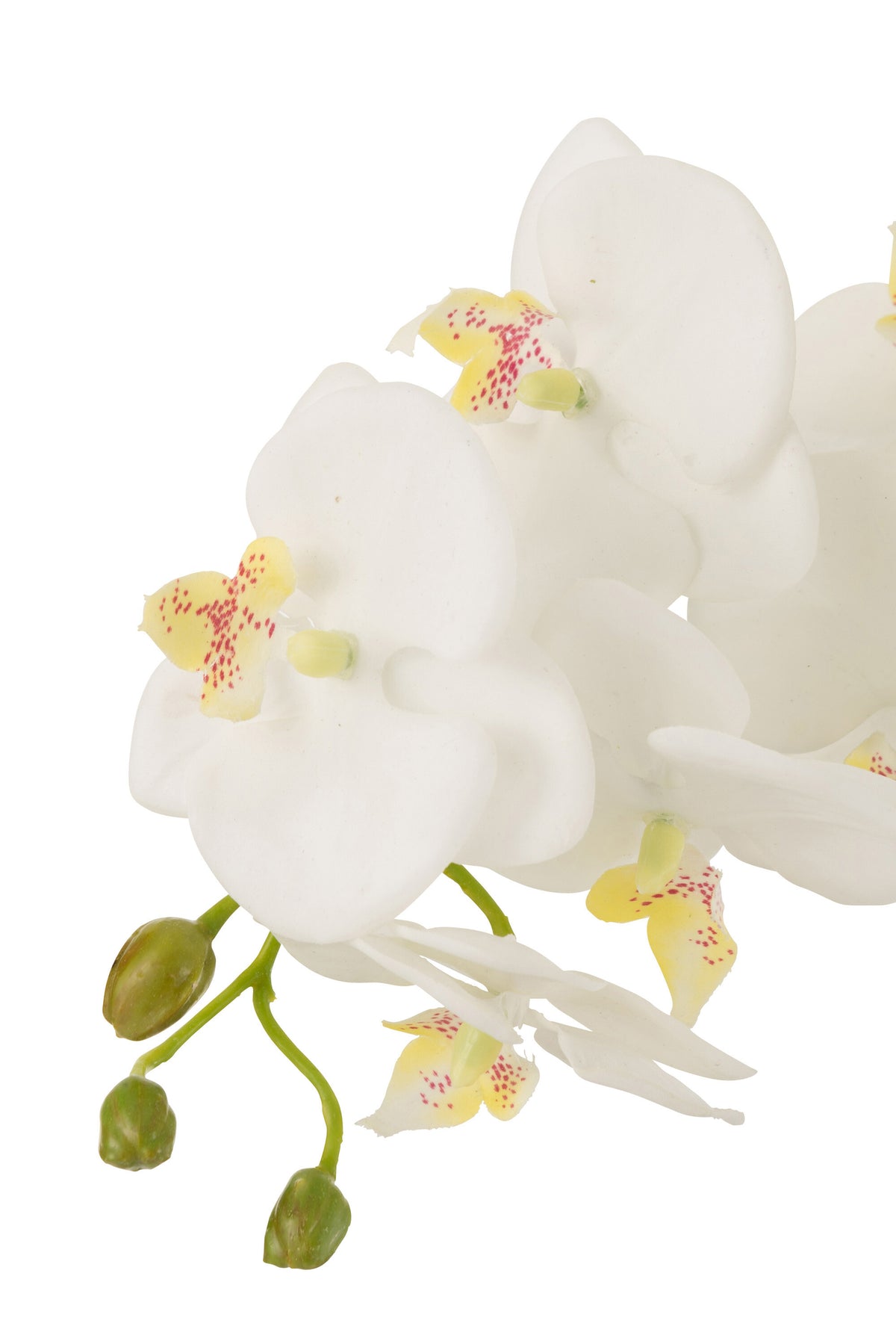 Orchidee In Aarde Plastiek Wit/Groen Large 32x32x75cm J-Line