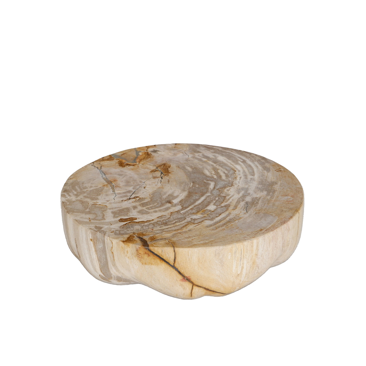 Bethe Natural Petrified Wood Half Ball Display S PTMD