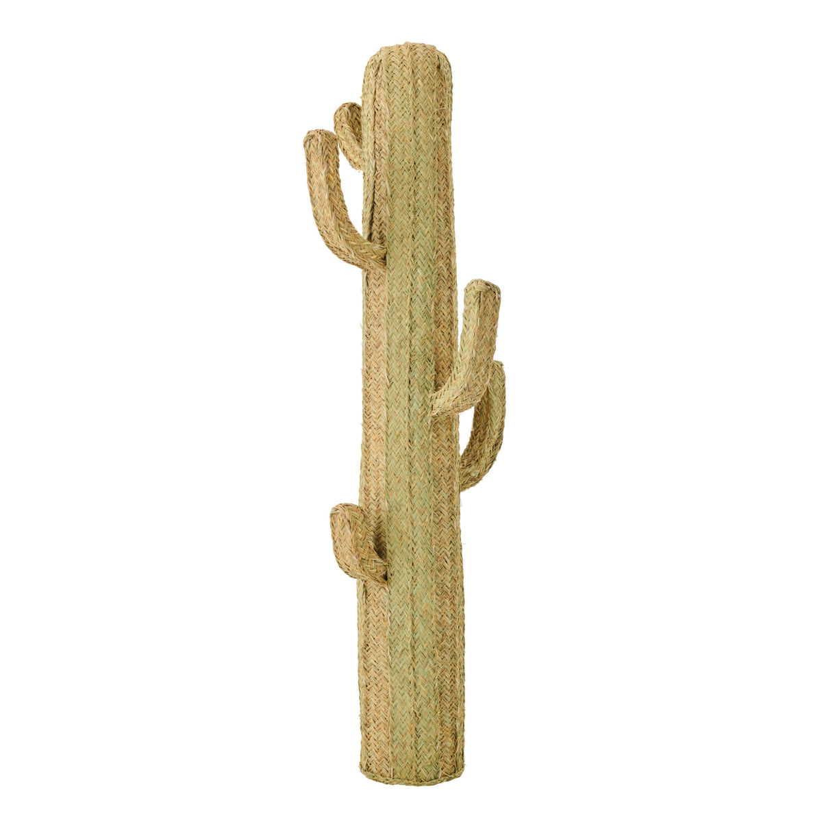 Cactus Gras Naturel Extra Large J-Line
