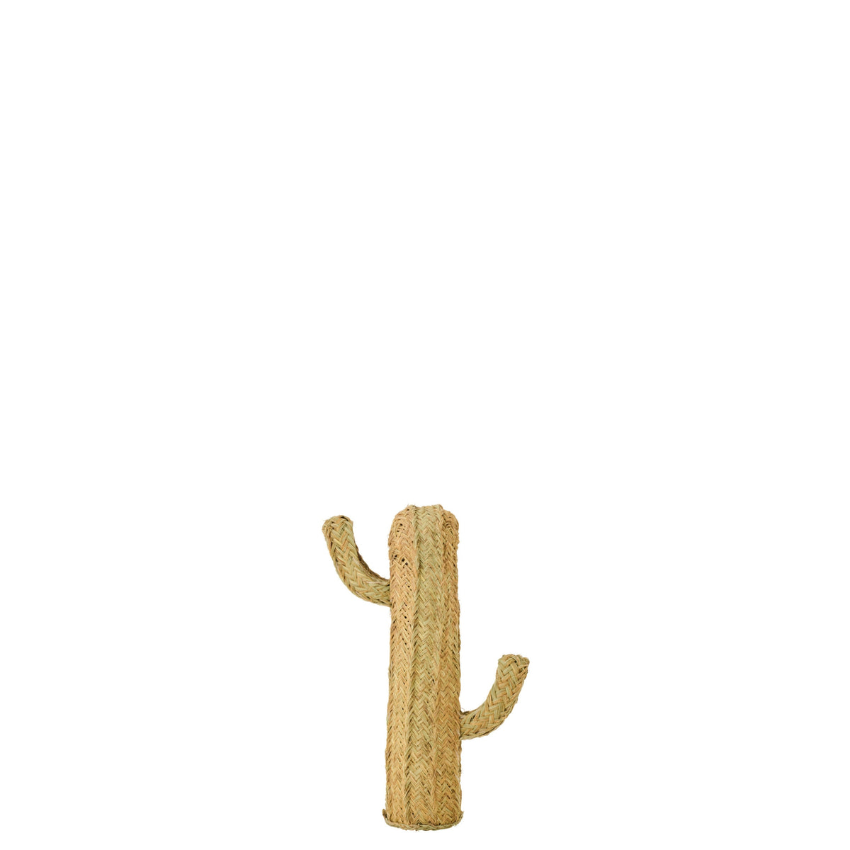Cactus Gras Naturel Small J-Line