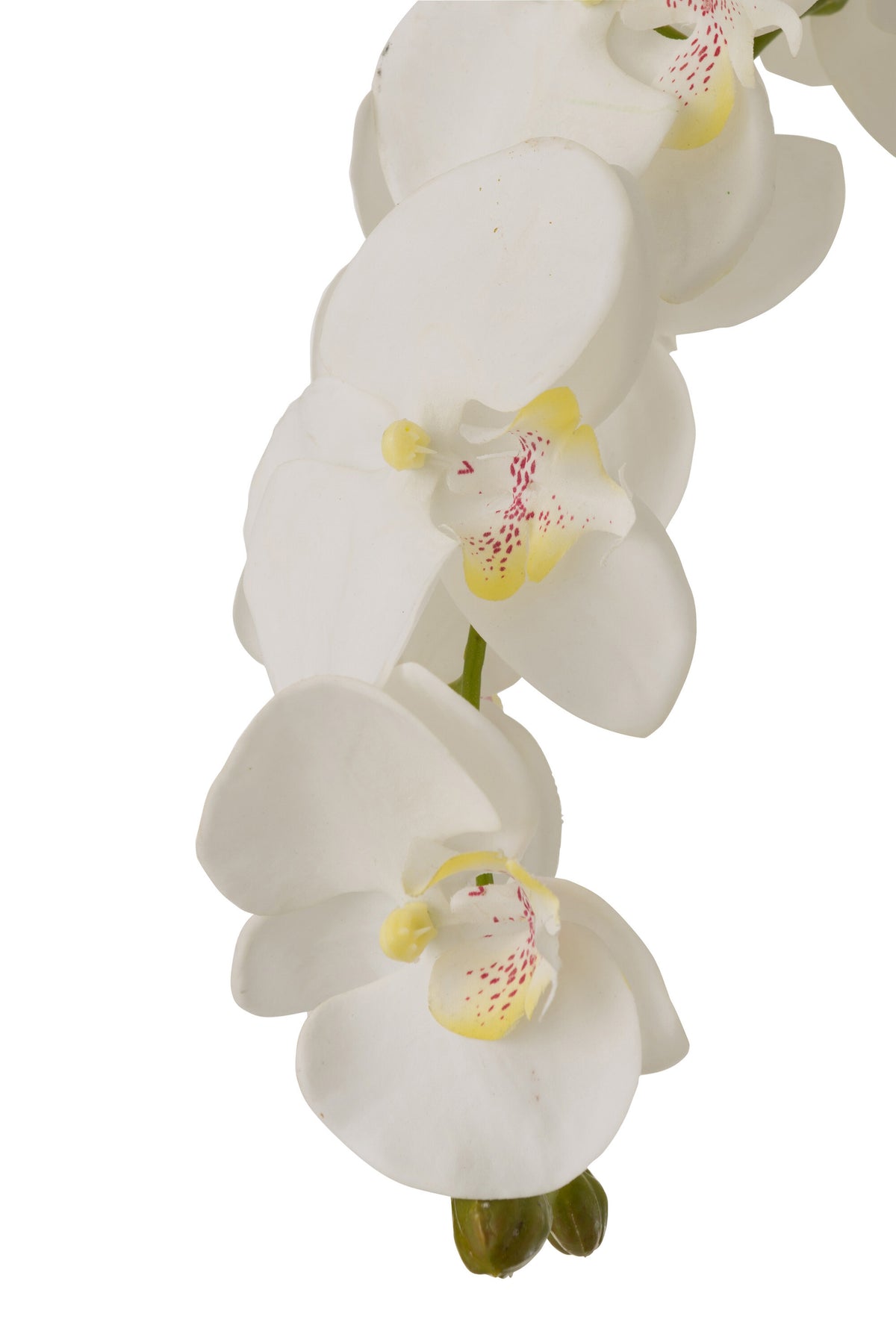 Orchidee In Aarde Plastiek Wit/Groen Extra Large 60x53x104cm J-Line