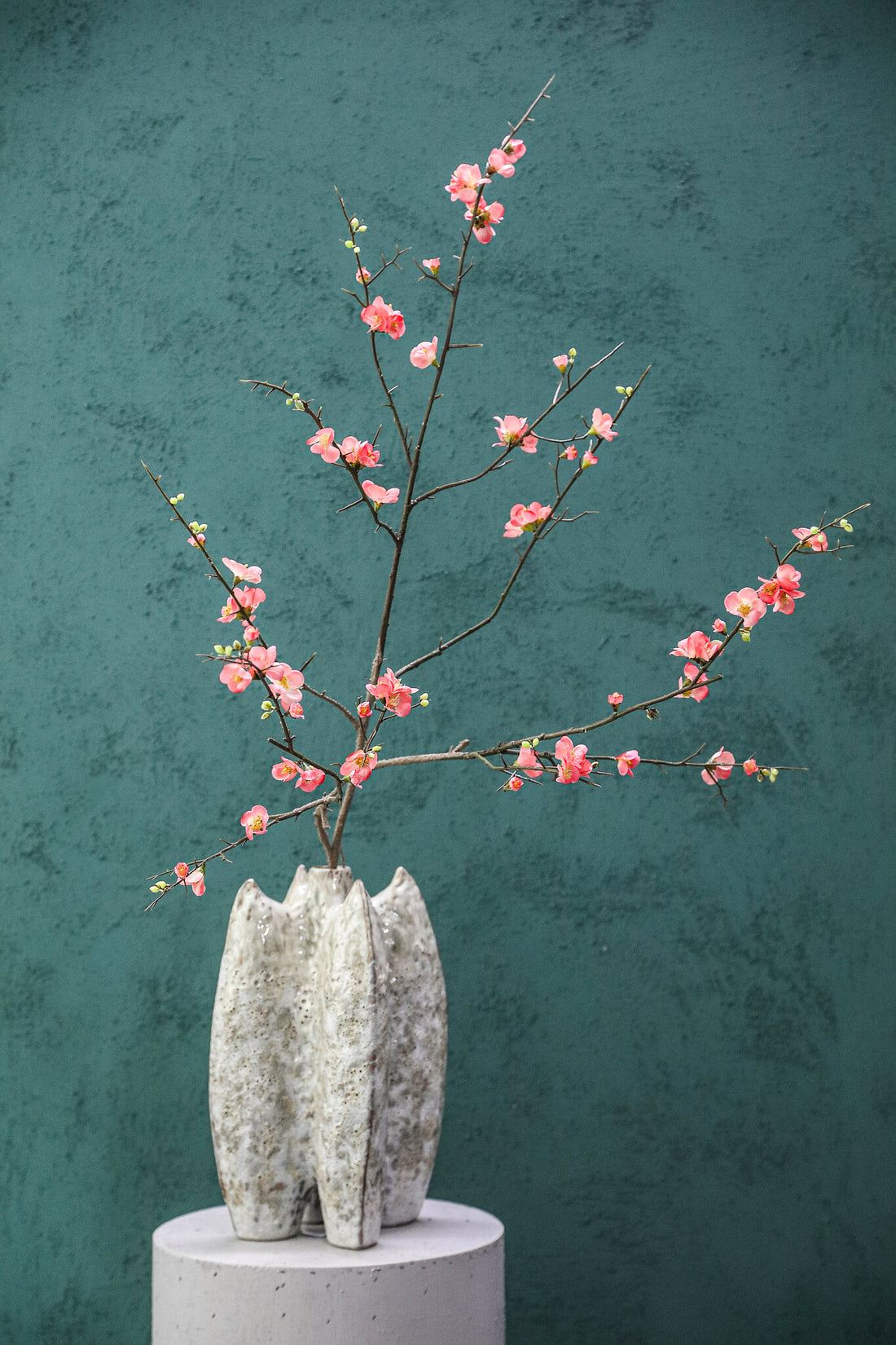 Blossom Flower Pink Cherry Blossom L PTMD