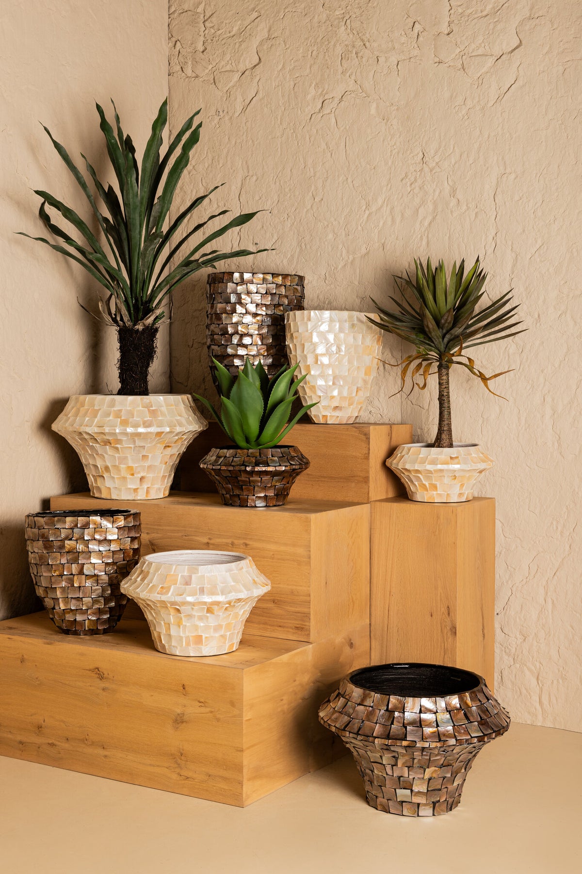 Daven Bronze Poly Shell Bamboo Pot Round Low  S 41x41x20cm PTMD