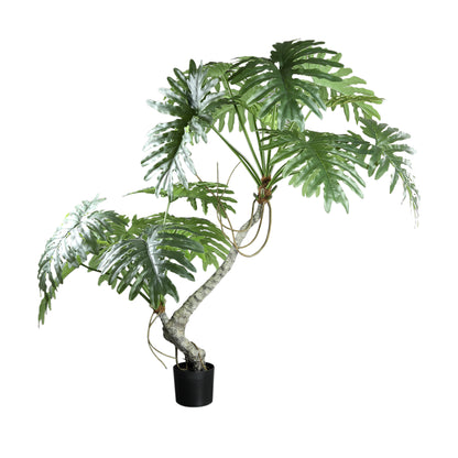Tree Green Spring Rain Tree In Black Pot 170x120x170cm PTMD