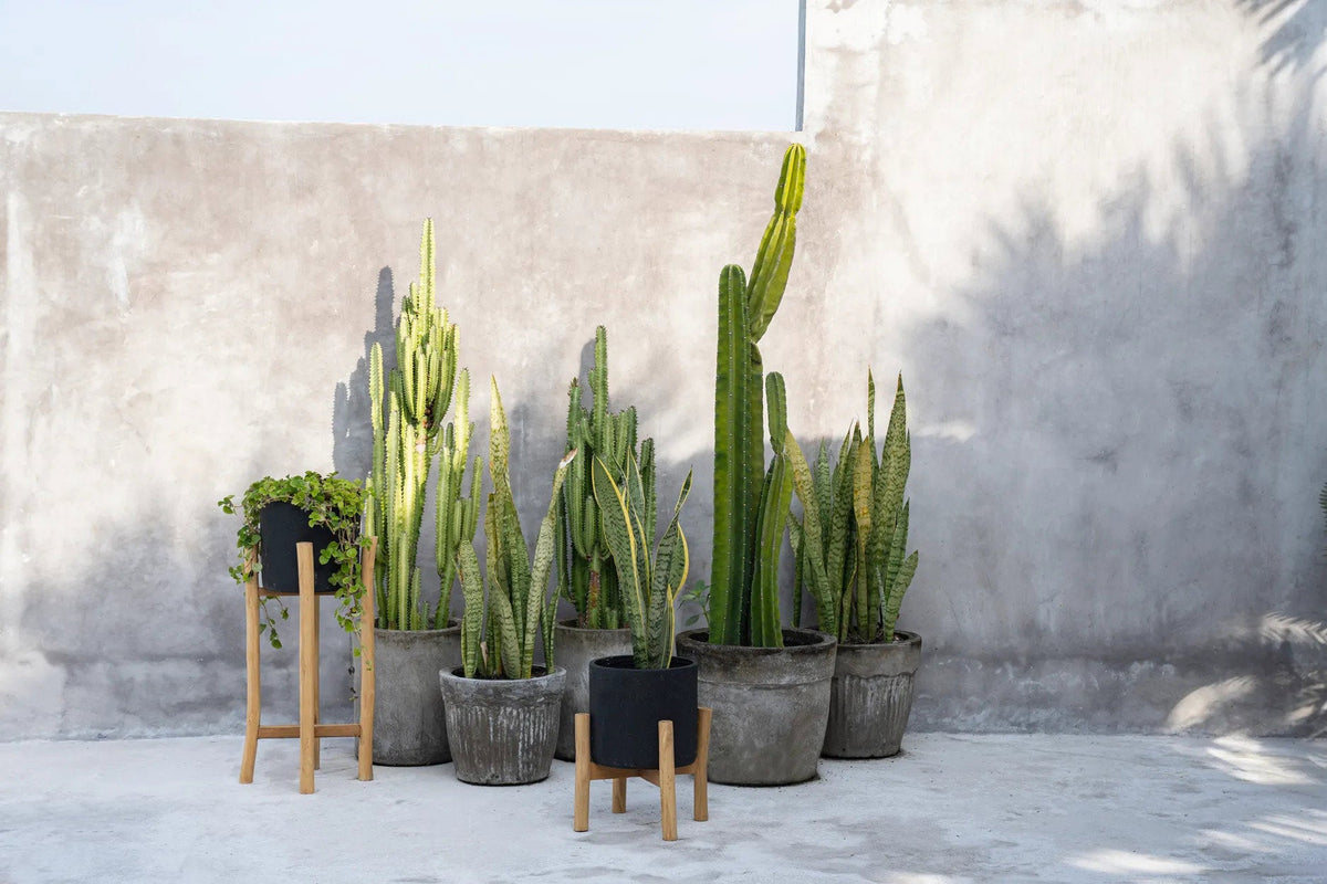 De Charcoal Hoge Plantenbak Zwart Small Bazar Bizar