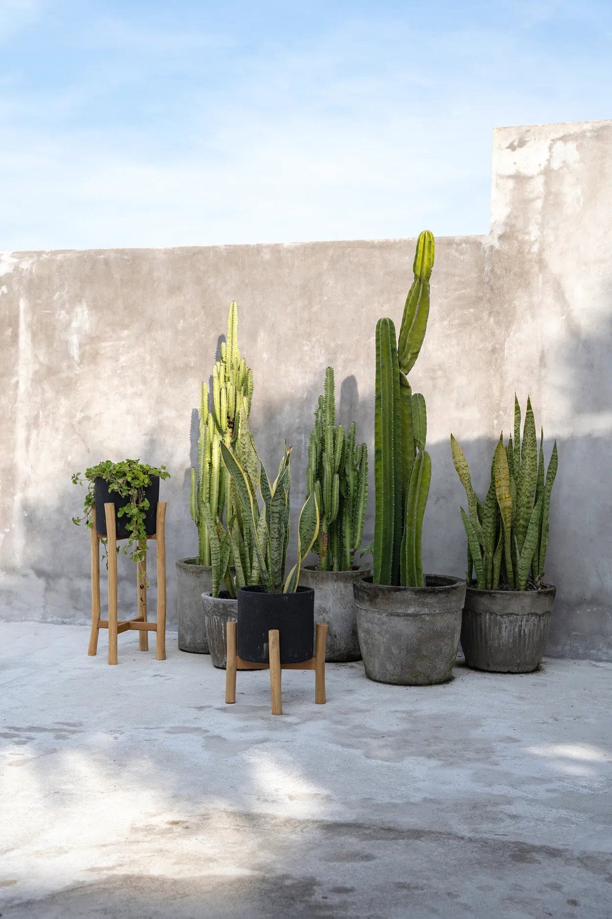 De Charcoal Hoge Plantenbak Zwart Small Bazar Bizar