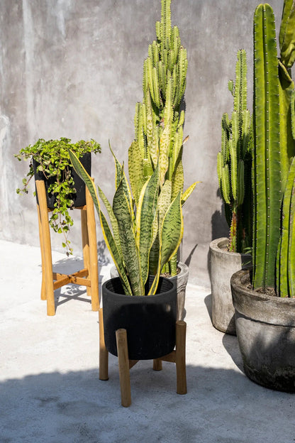 De Charcoal Hoge Plantenbak Zwart Small Bazar Bizar