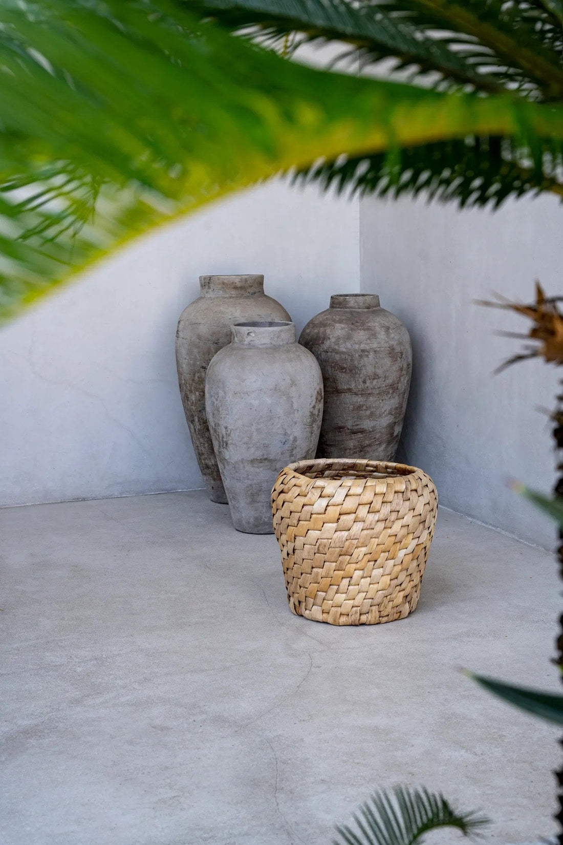 De Chidi Mand Bazar Bizar