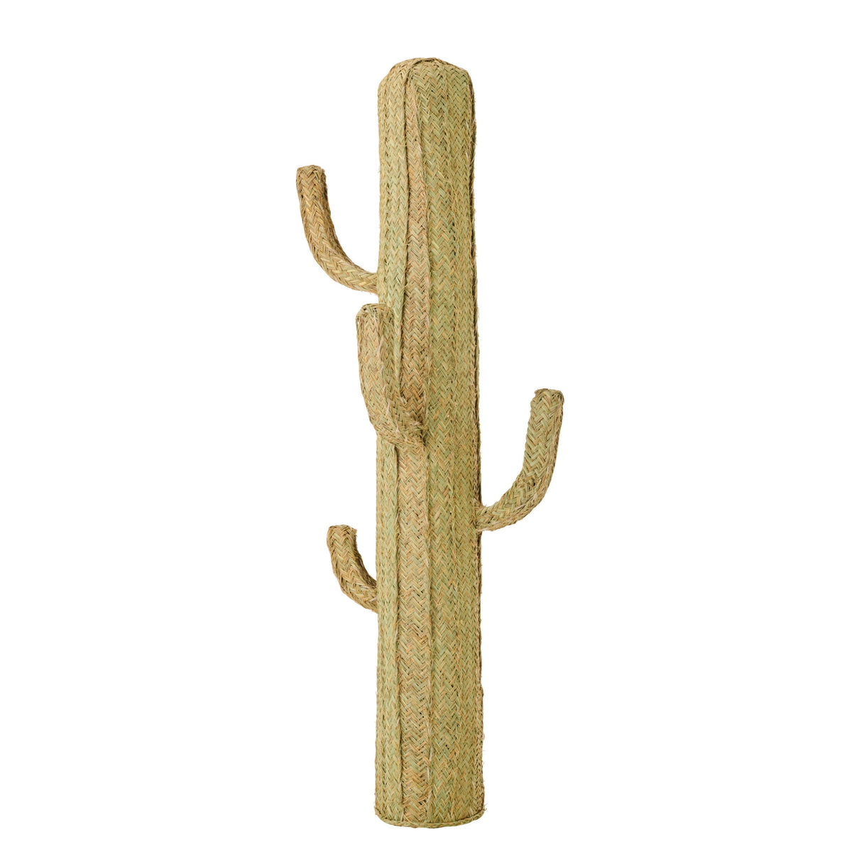 Cactus Gras Naturel Extra Large J-Line