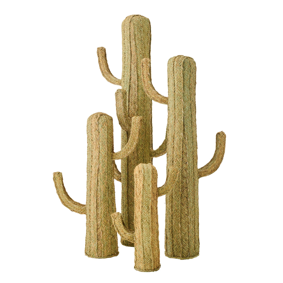 Cactus Gras Naturel Large J-Line