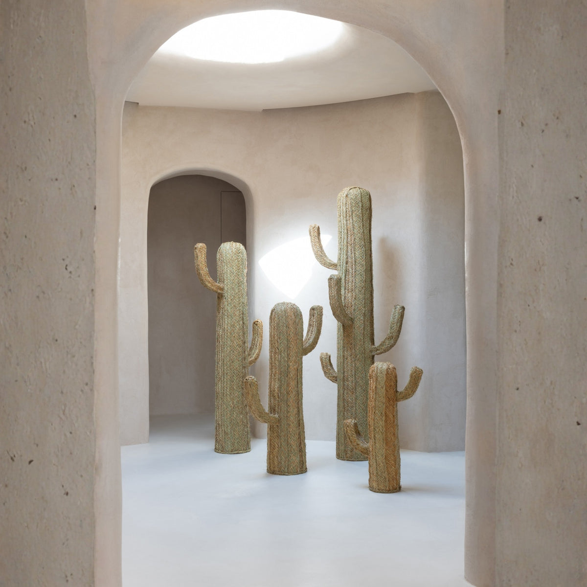 Cactus Gras Naturel Medium J-Line