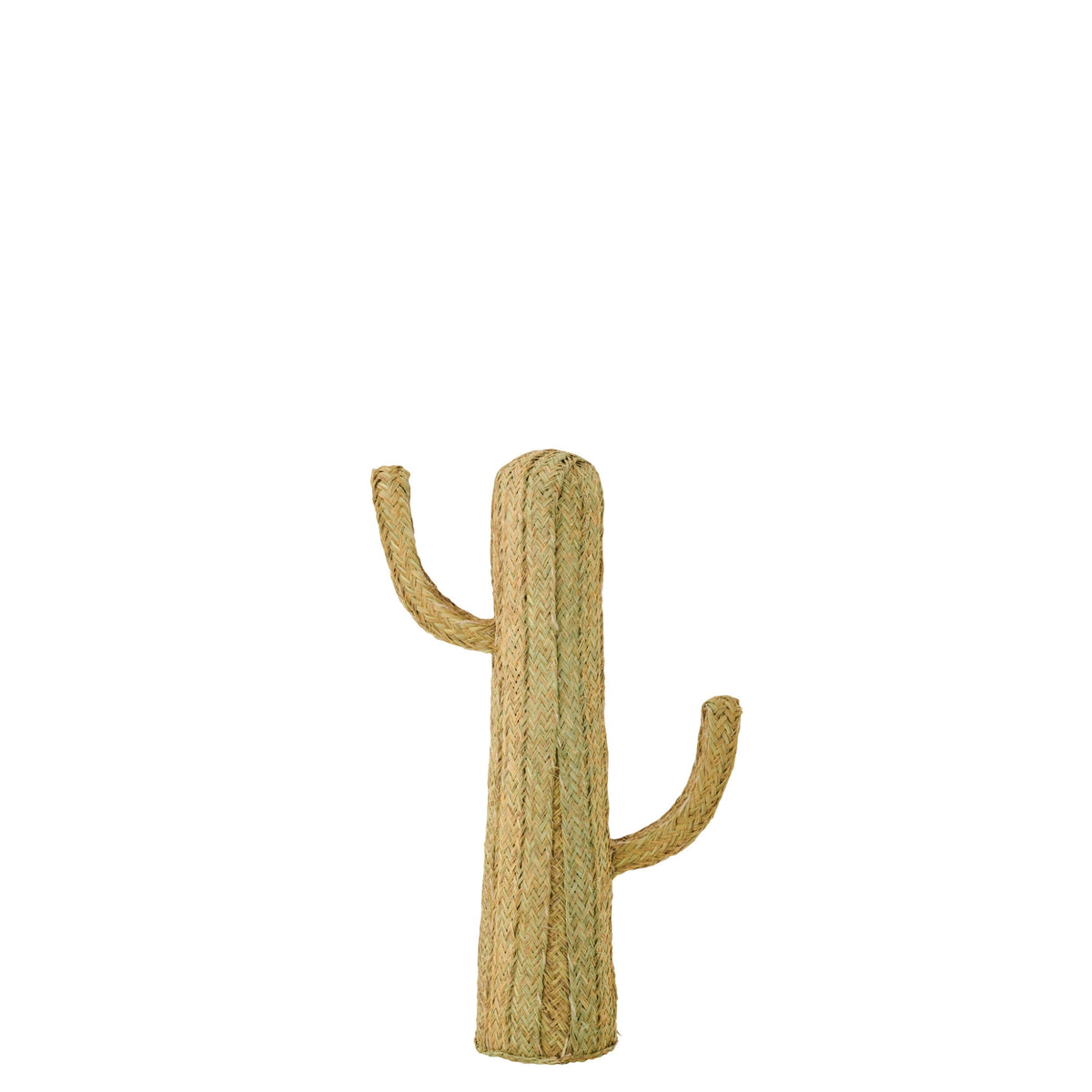 Cactus Gras Naturel Medium J-Line