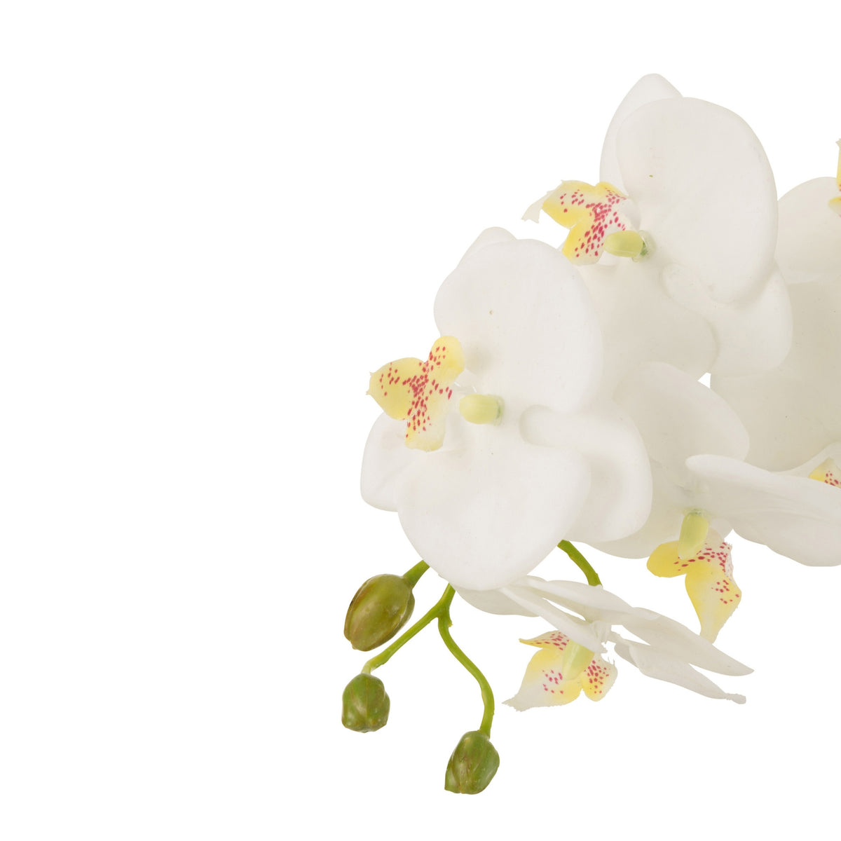 Orchidee In Aarde Plastiek Wit/Groen Large 32x32x75cm J-Line
