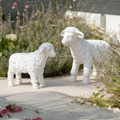 Schaap Buiten Mgo Beige Small J-Line