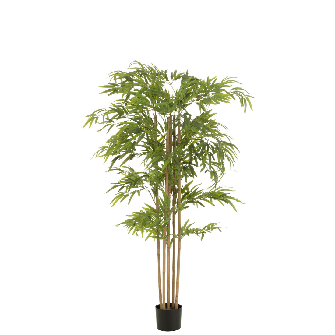 Bamboe In Pot Kunststof Groen H150cm J-Line