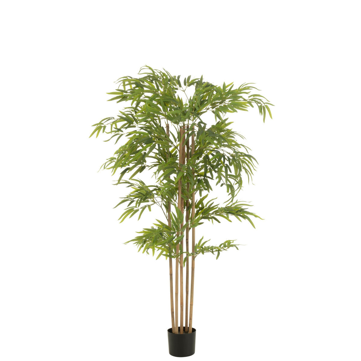Bamboe In Pot Kunststof Groen H150cm J-Line