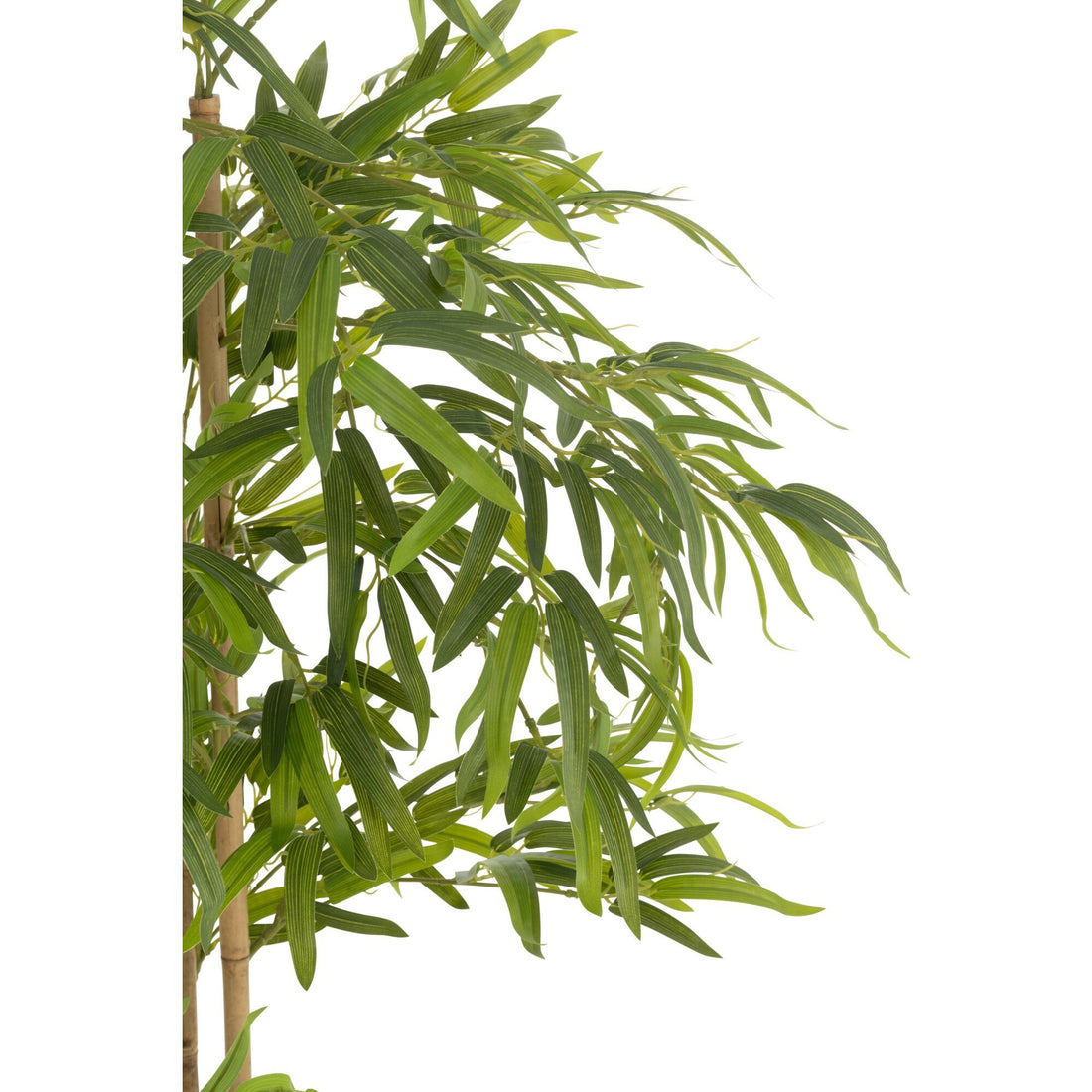 Bamboe In Pot Kunststof Groen H150cm J-Line