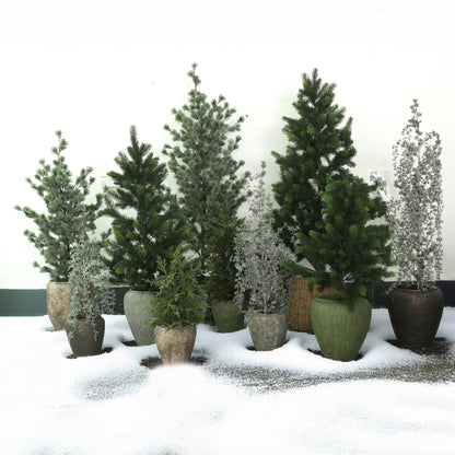 Florine Kerstboom LED Met Sneeuw Medium van PTMD, groep besneeuwde kerstboompjes in potten in een winterse setting