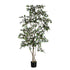 Kunst ficus microcarpa van PTMD, 185 cm hoog met volle kruin