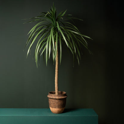Detail van de fijne takken van de kunstlobelia van PTMD