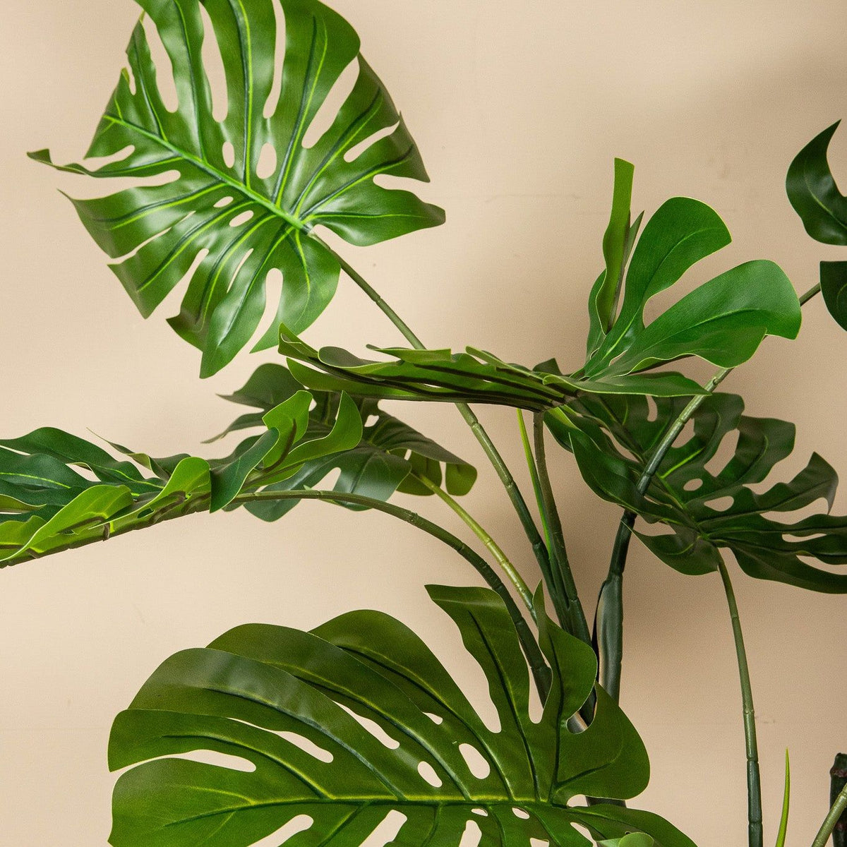 Groene kunst monstera van PTMD als sfeerbeeld in een botanisch interieur