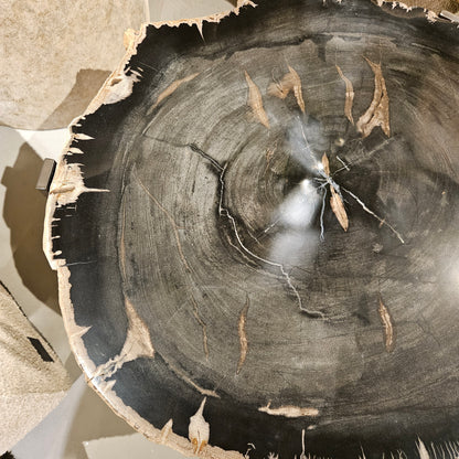 Rudi Grey petrified wood coffeetable nickel Set van 3 - Salontafel - PTMD - livinglovely.nl