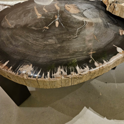 Rudi Grey petrified wood coffeetable nickel Set van 3 - Salontafel - PTMD - livinglovely.nl