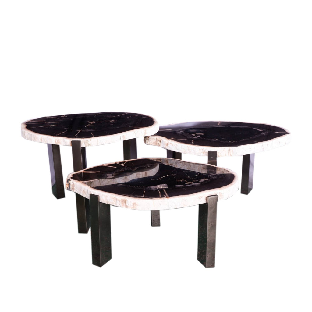 Rudi Grey petrified wood coffeetable nickel Set van 3 - Salontafel - PTMD - livinglovely.nl