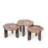 Salontafel Rudi Natural petrified wood nickel Set van 3 - Salontafel - PTMD - livinglovely.nl