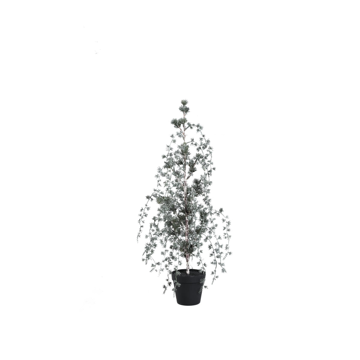 Set Van 3 Florine LED Kunstkerstbomen Mosgroen Met Sneeuw van PTMD, Florine Kunstkerstboom Small uit de set los op witte achtergrond