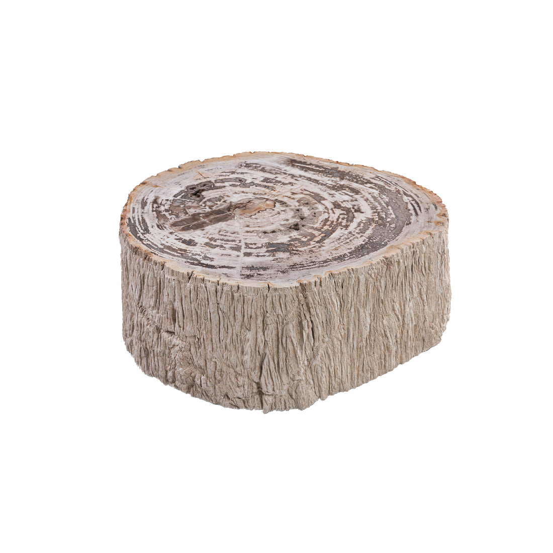 Taly Koffietafel Small van PTMD, lage salontafel van versteend hout in naturel op witte achtergrond