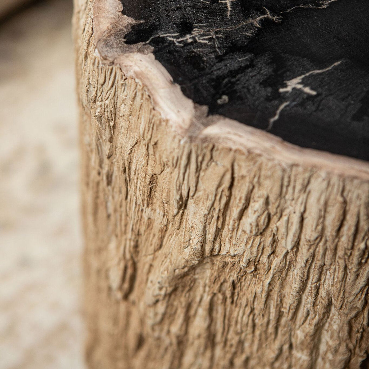 Taly Kruk Versteend Hout van PTMD, detail van het zwarte blad en de ruwe zijkant