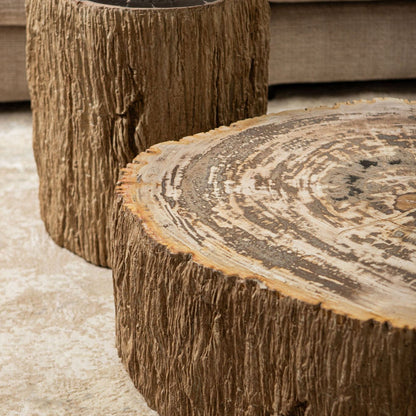 Taly Kruk Versteend Hout van PTMD, kruk achter de Taly salontafel met jaarringen