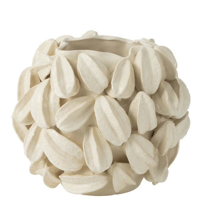 Vaas Botanica Cacao Breed Beige J-Line